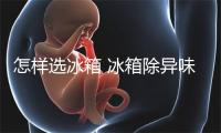 &nbsp;&nbsp;怎样选冰箱 冰箱除异味技巧