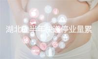湖北上半年快递停业量累计完成10.30亿件 同比删减21.37%
