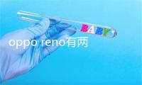 oppo reno有两个版本 标准版建设骁龙710+4800万摄像头