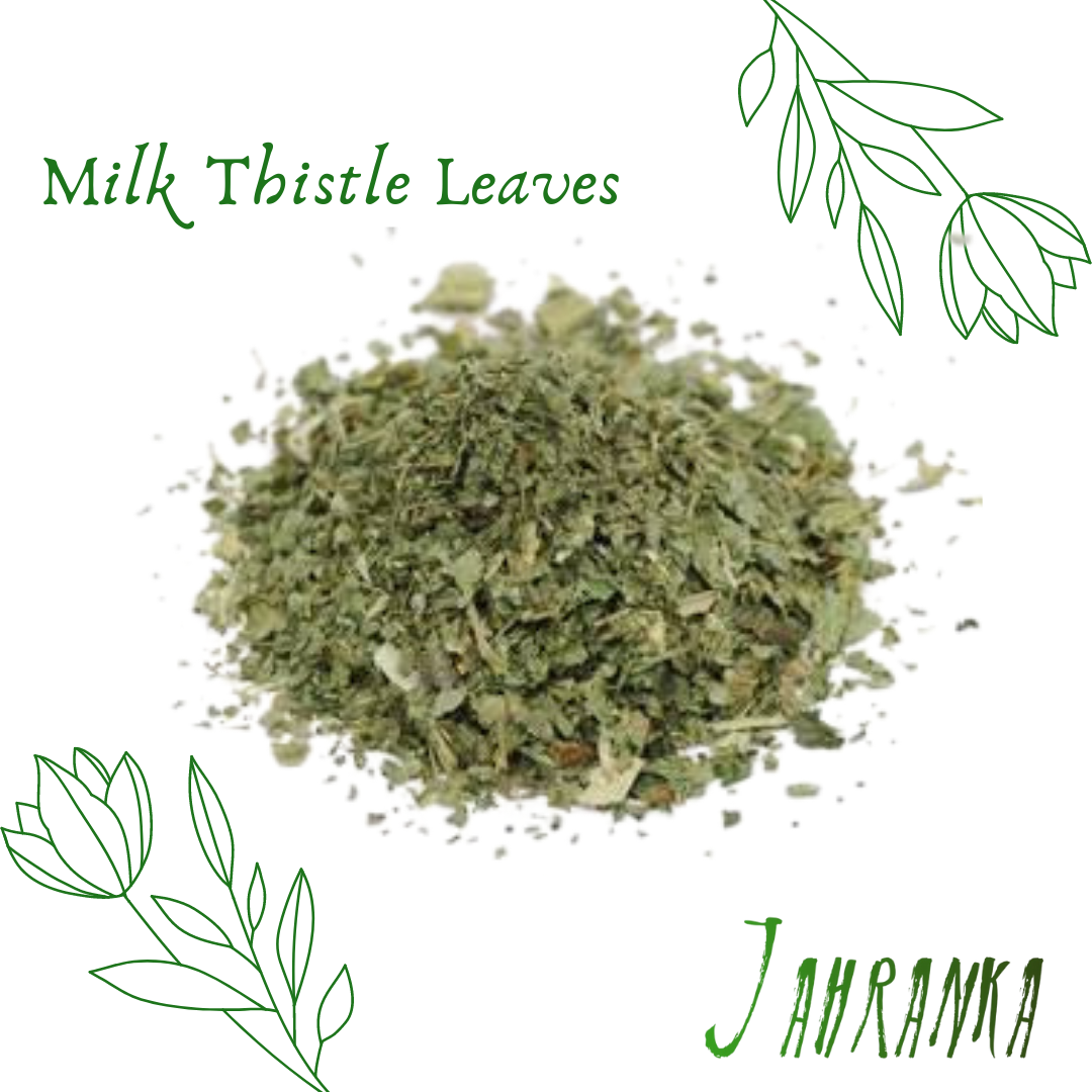 Milk Thistle Leaf