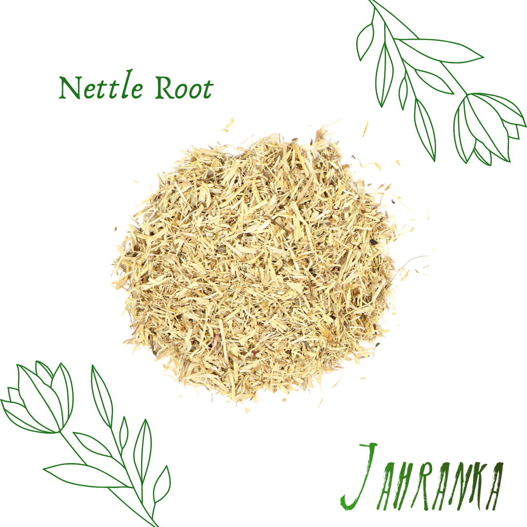 Nettle Root