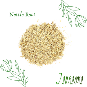 Nettle Root