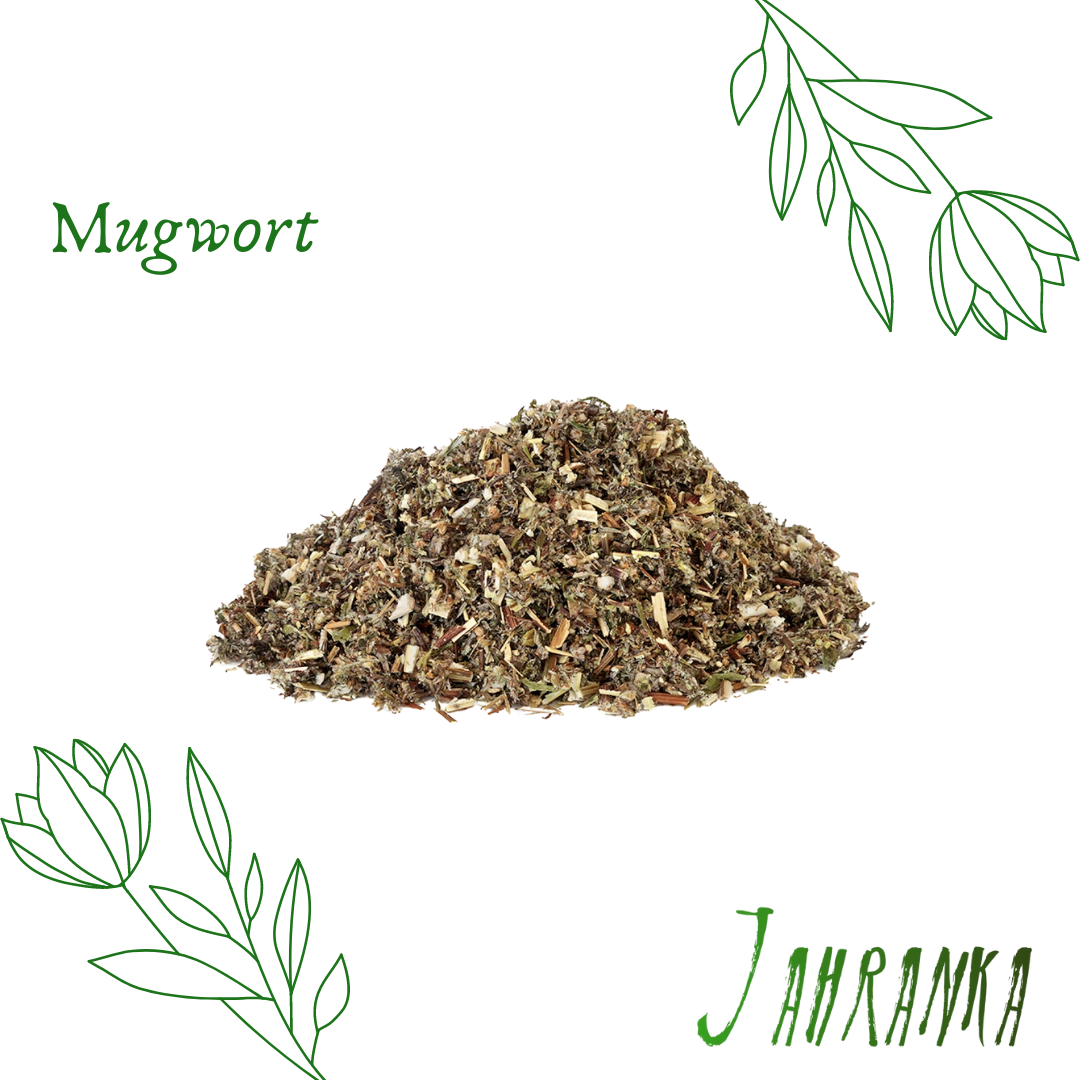 Mugwort for the dreamers, smokers and healers