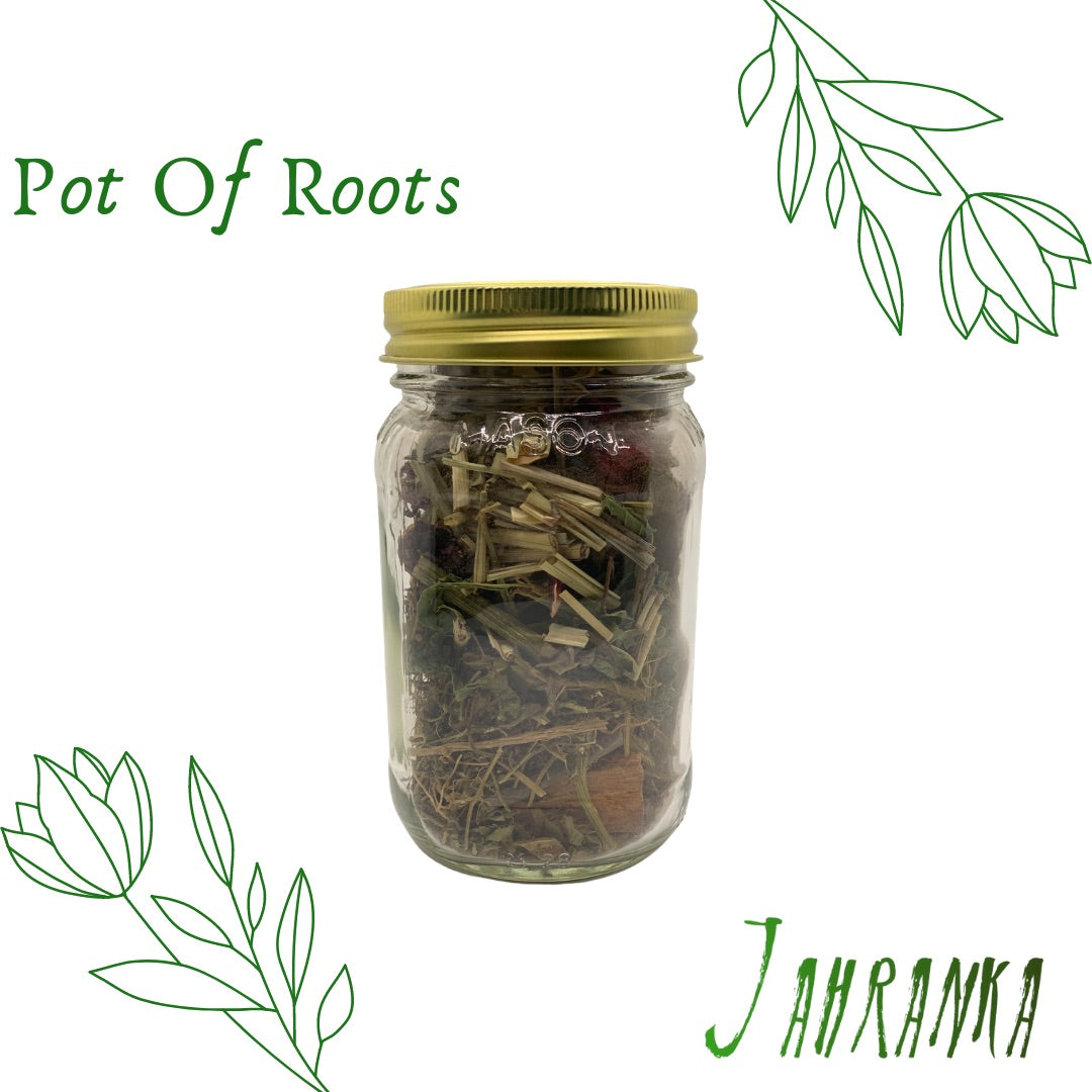 One Pot of Roots Healing