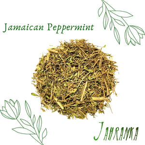 Jamaican Peppermint