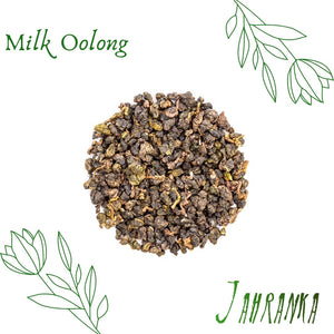 Milk Oolong